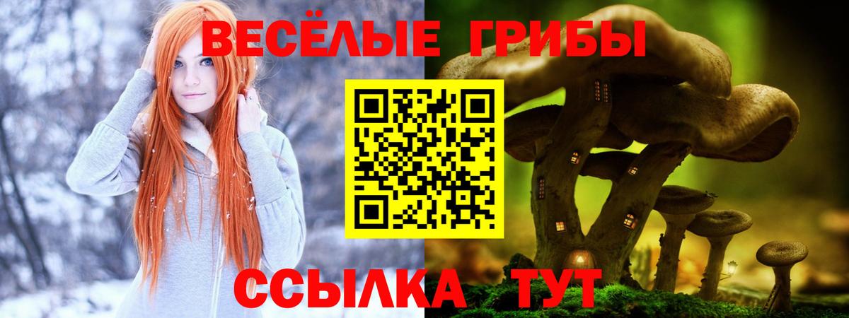 Галлюциногенные грибы прущие грибы  Галлюциногенные грибы Psilocybe  Вход с VPN  Сафоново 